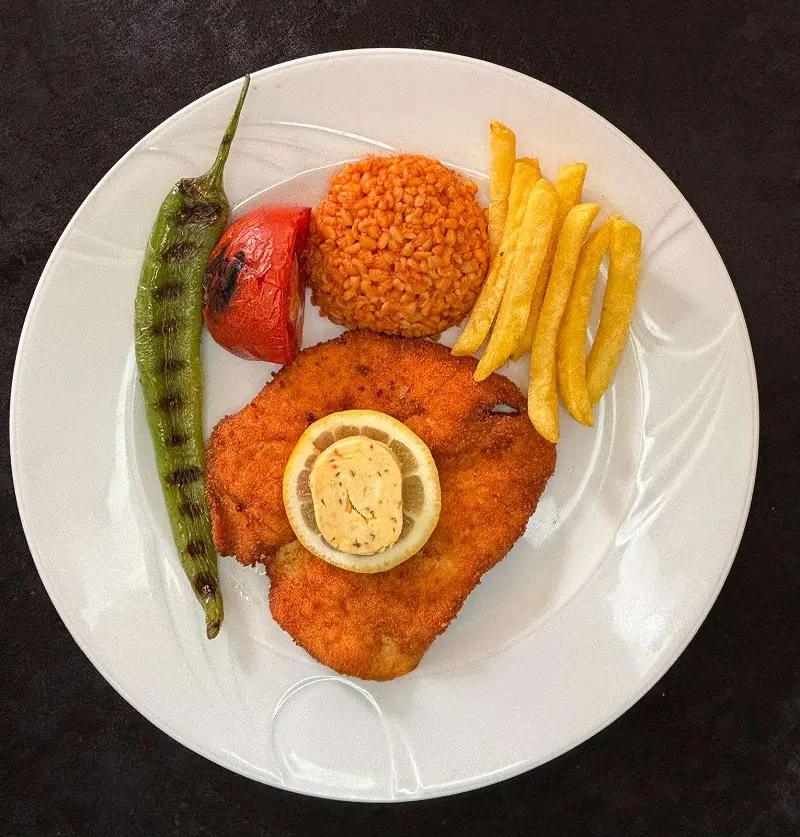 PİLİÇ ŞİNİTSEL