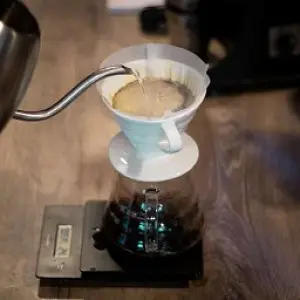 NİTELİKLİ KAHVELER (Special Coffee)