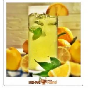 TAZE MEYVE SULARI  (Fresh Juices)